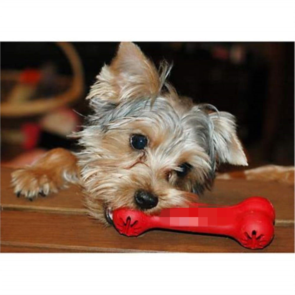 Bite Resistant Rubber Chewing Teeth Grinding Pet Toy