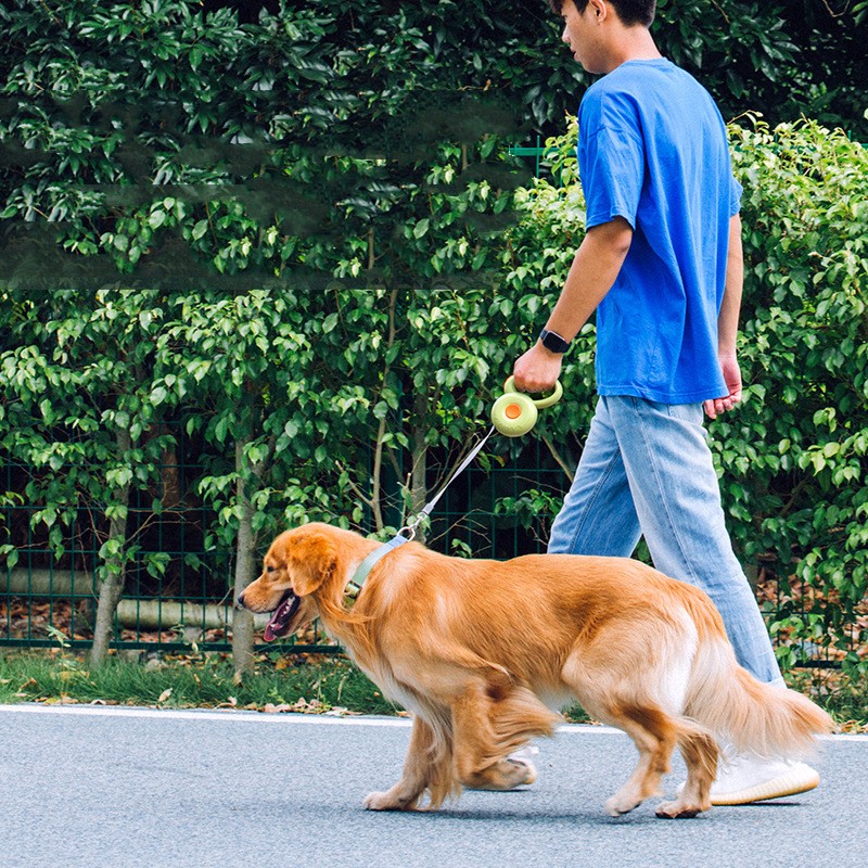Leash Retractable Pet Leash Reflective Rope