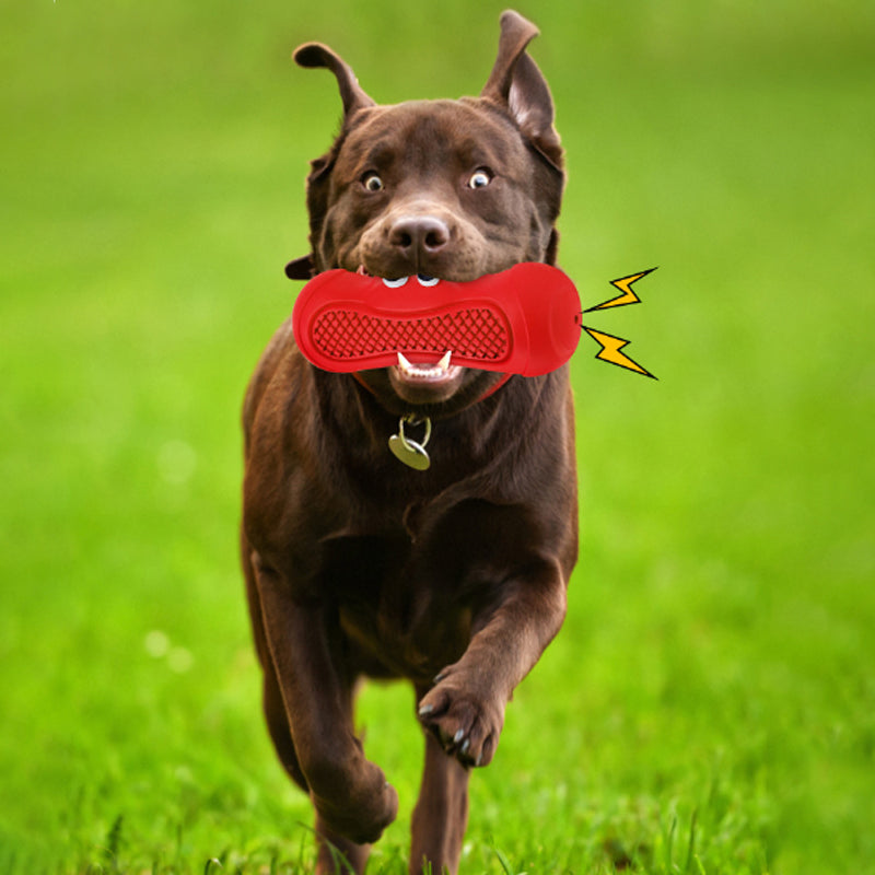 Vocal Rubber Teething Bite Resistant Pet Chewing Toy