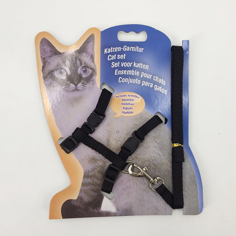 Fashion Leash To Prevent Breaking Free
