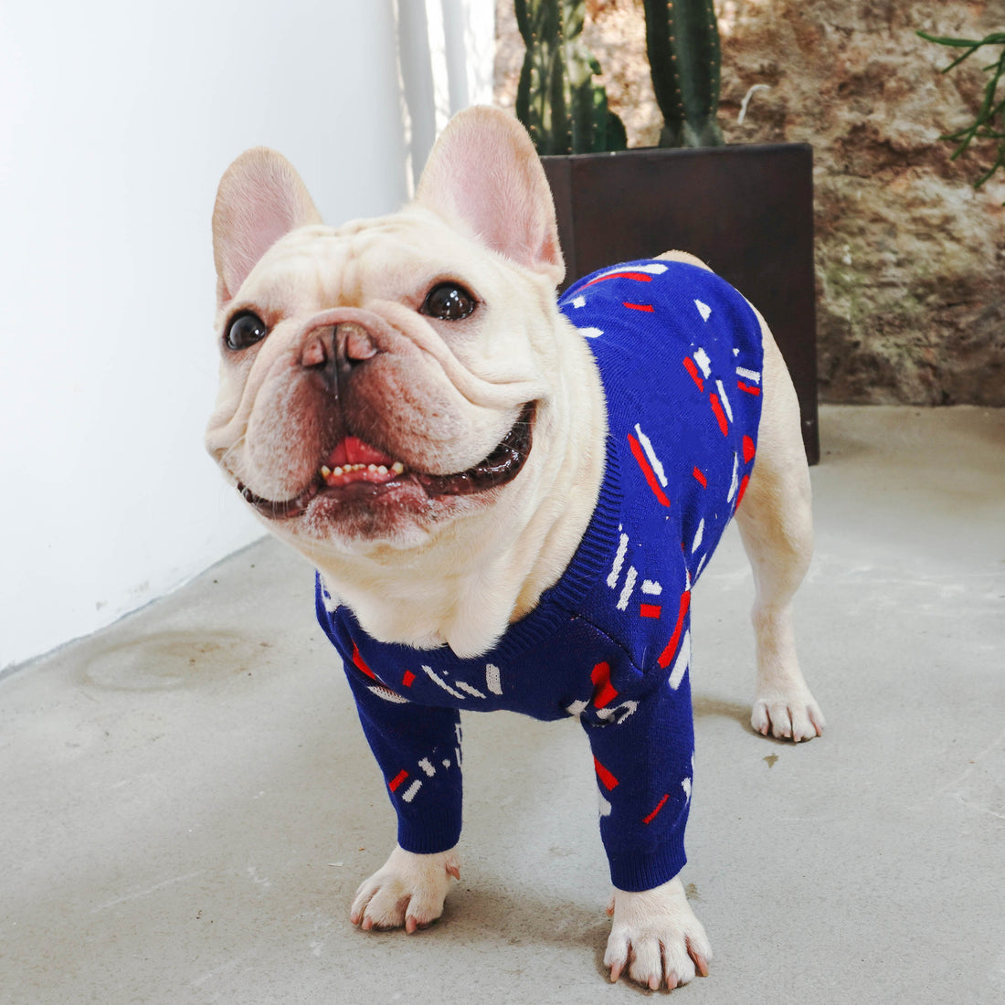 Warm Knitted Pet Sweater Cozy Apparel