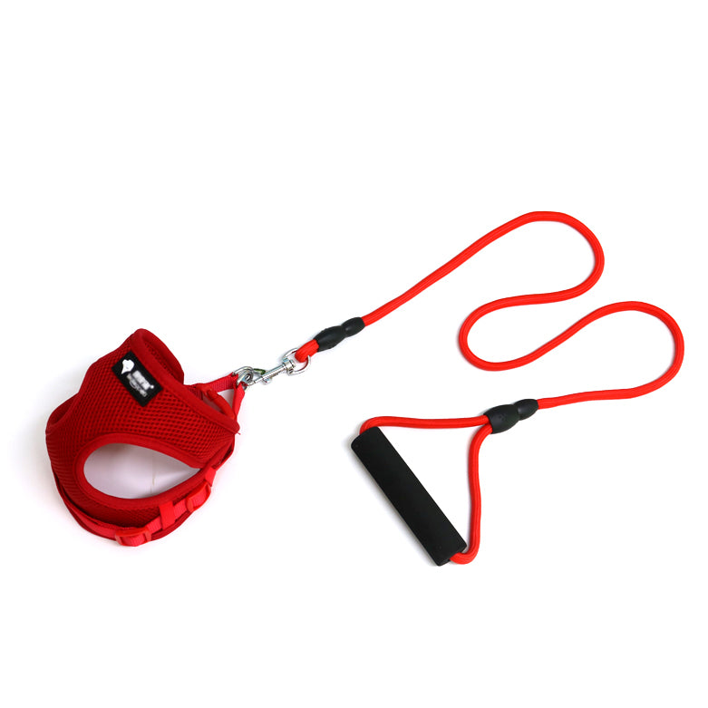 Adjustable Pet Collar And Leash Set For Daily Walking Use
