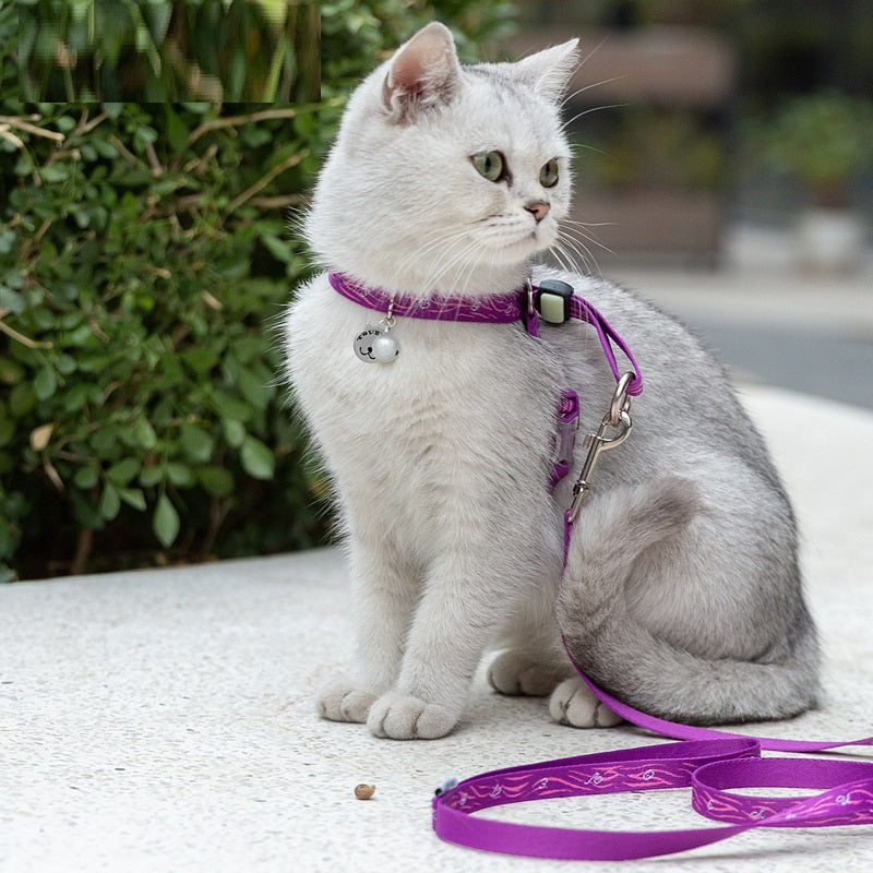 Bell Pet Harness Vest And Leash Set For Daily Walking