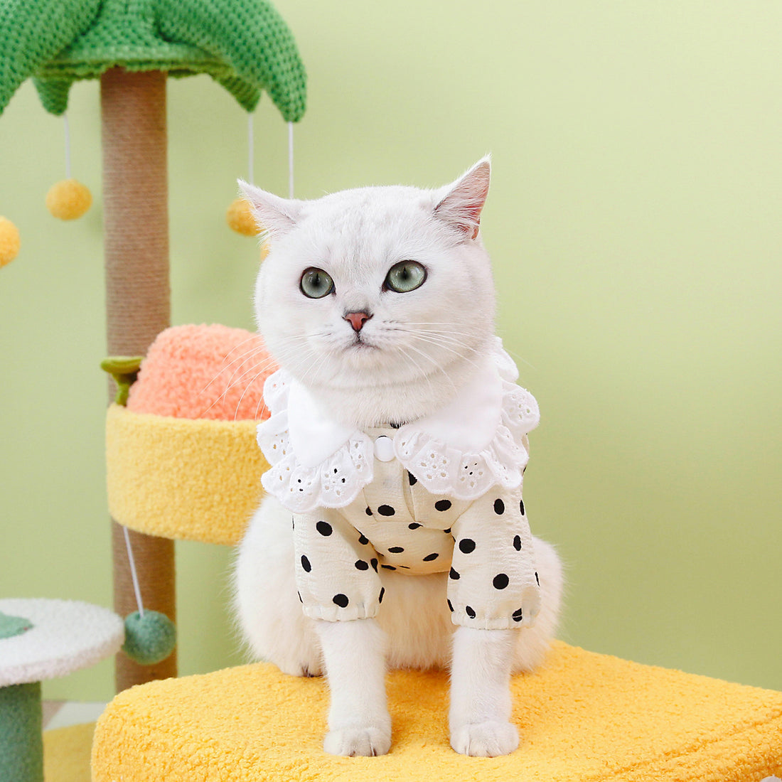 Blue Printed Cotton Pet T Shirt Lightweight Apparel