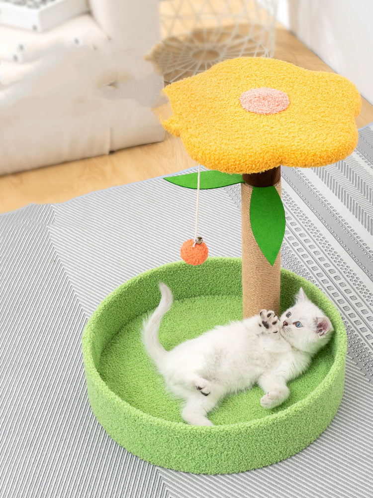 Claw Grinding Teasing Interactive Pet Toy