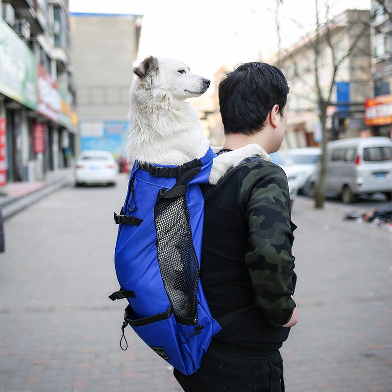 Portable Pet Carrier Backpack For Outdoor Travel And Comfort