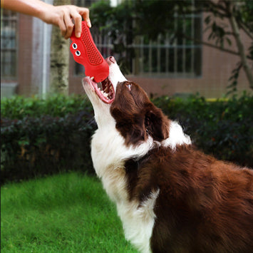 Vocal Rubber Teething Bite Resistant Pet Chewing Toy