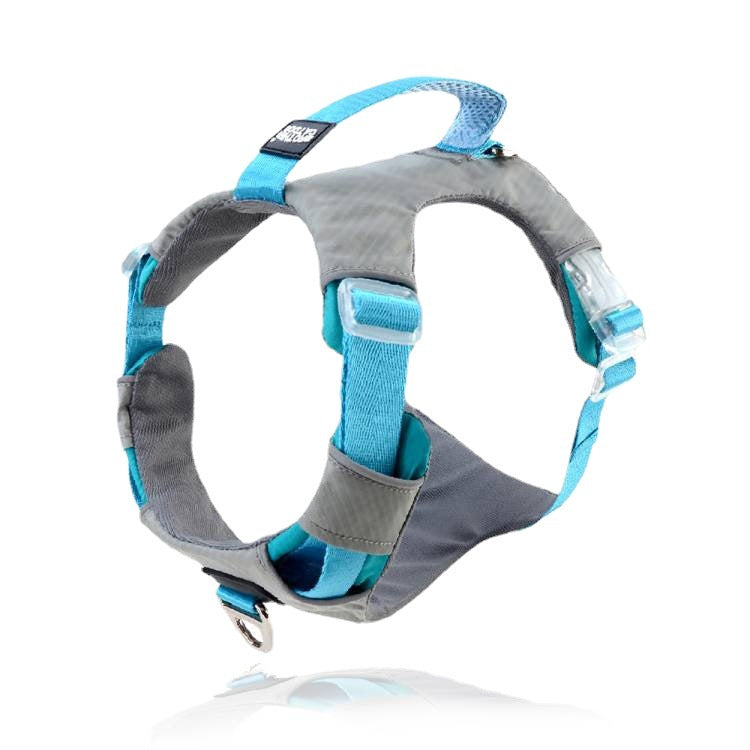 Explosion Proof Large Pet Chest Strap Leash Storage Bag Set
