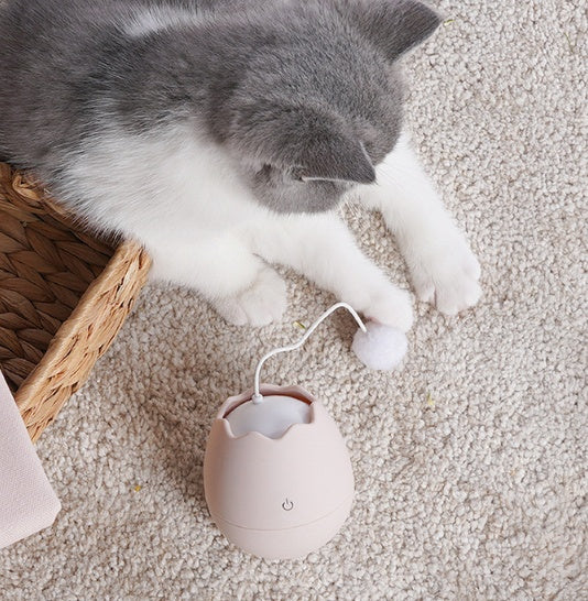 Funny Interactive Pet Entertainment Toy