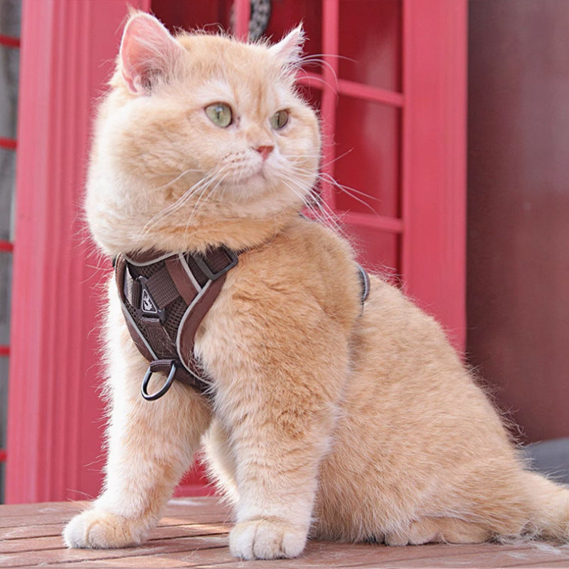 Adjustable Pet Harness Vest With Leash For Daily Outdoor Walking