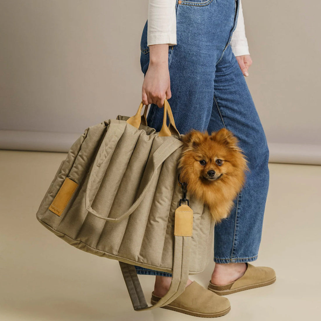 Lightweight Waterproof Pet Carrier Bag For Outdoor Travel Use