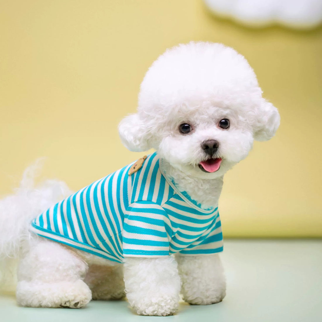 Summer Breathable Pet T Shirt Lightweight Apparel