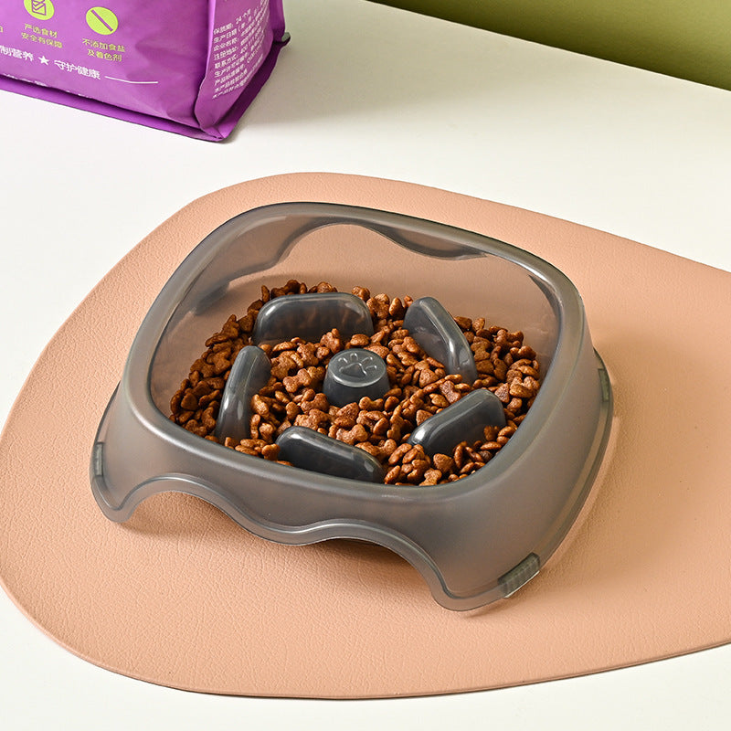 Anti Choking Slow Feed Pet Bowl For Safe Feeding Use