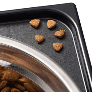 Pet Lifting Feeding Bowl Neck Protection Anti-tumble Medium