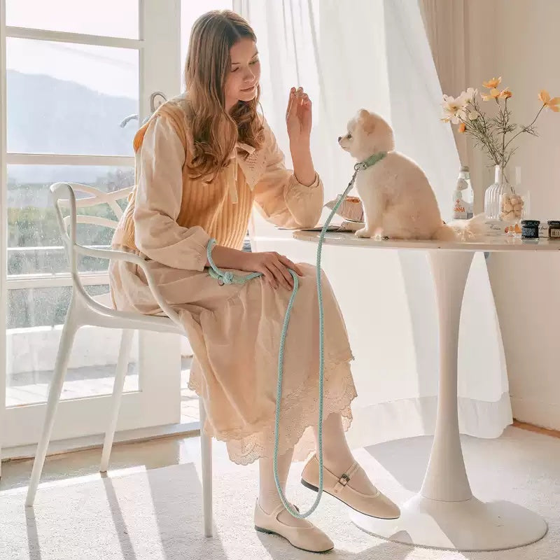 Leather Pet Collar And Handheld Leash For Daily Walking