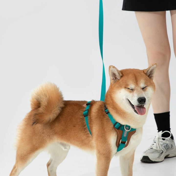 Multifunctional Pet Rope Leash And Chest Strap Walking Set