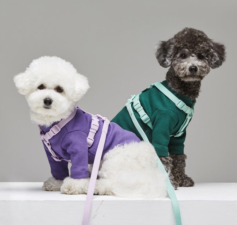Macaron Ins Wind Style Adjustable Pet Leash For Daily Walking