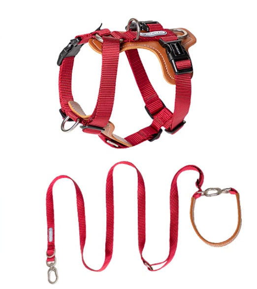 Multifunctional Pet Rope Leash And Chest Strap Walking Set