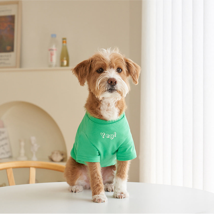 Korean Style Cotton Printed Pet T Shirt Short Sleeve