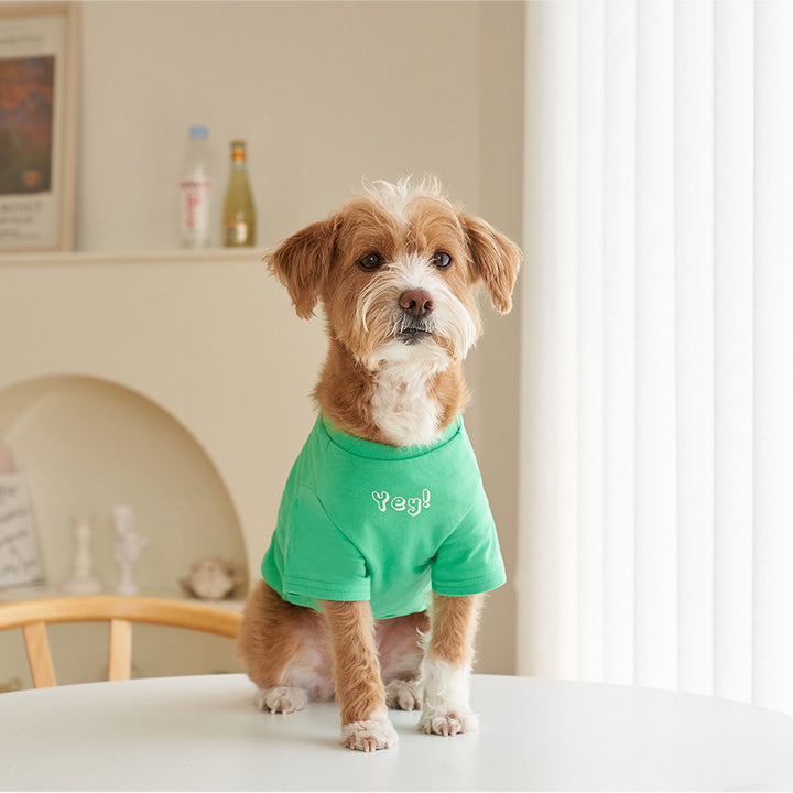 Korean Style Cotton Printed Pet T Shirt Short Sleeve