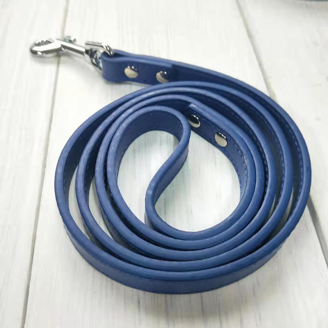 Adjustable Pet Leash And Collar Set For Daily Walking Use
