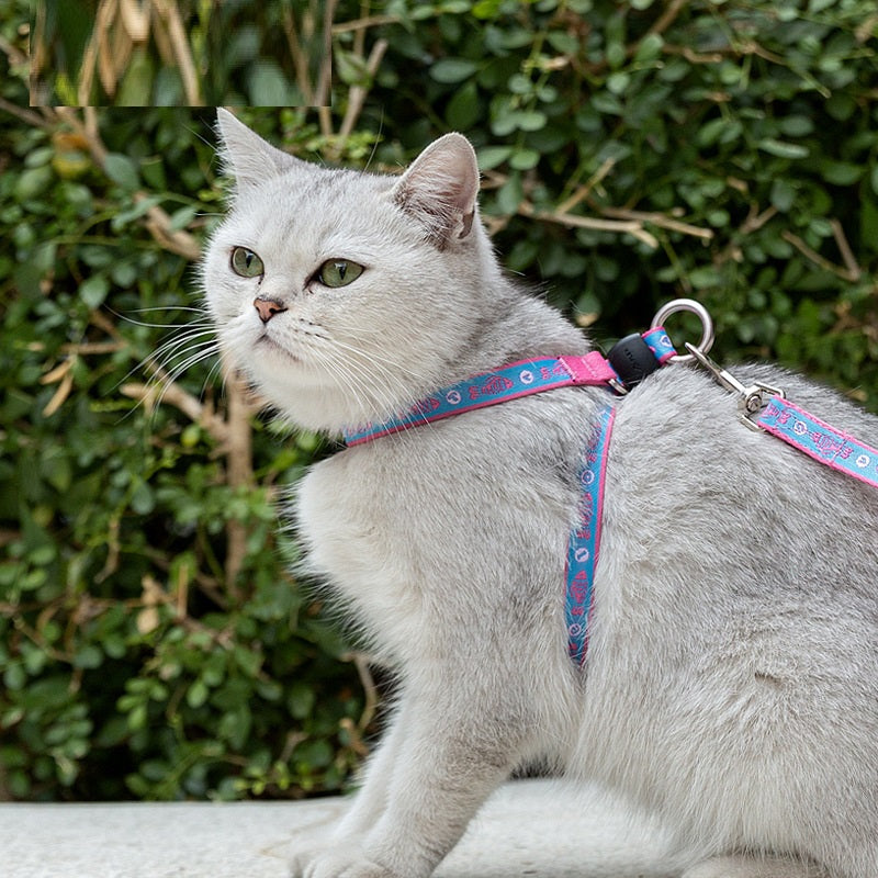 Bell Pet Harness Vest And Leash Set For Daily Walking