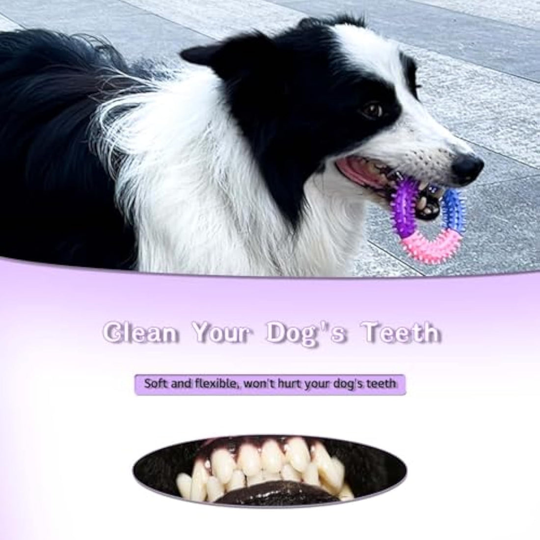 Chew Ring Rubber Teething Pet Toy Interactive Use