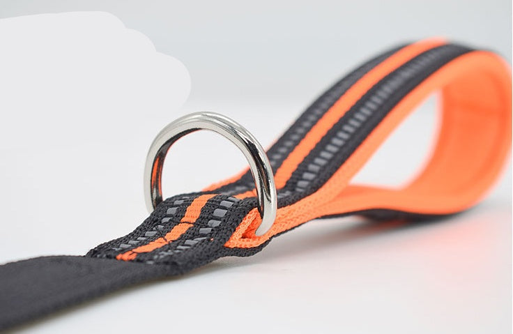 Leash Nylon Leash Assisted Retractable