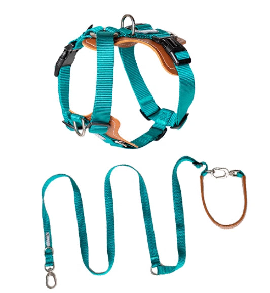 Multifunctional Pet Rope Leash And Chest Strap Walking Set