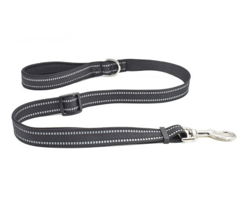 Leash Nylon Leash Assisted Retractable