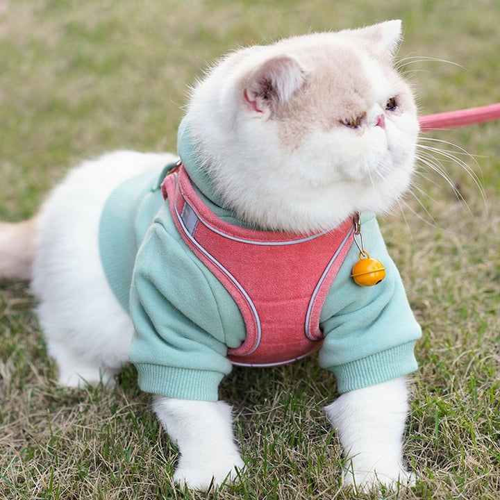Leash Vest Type Chest Harness