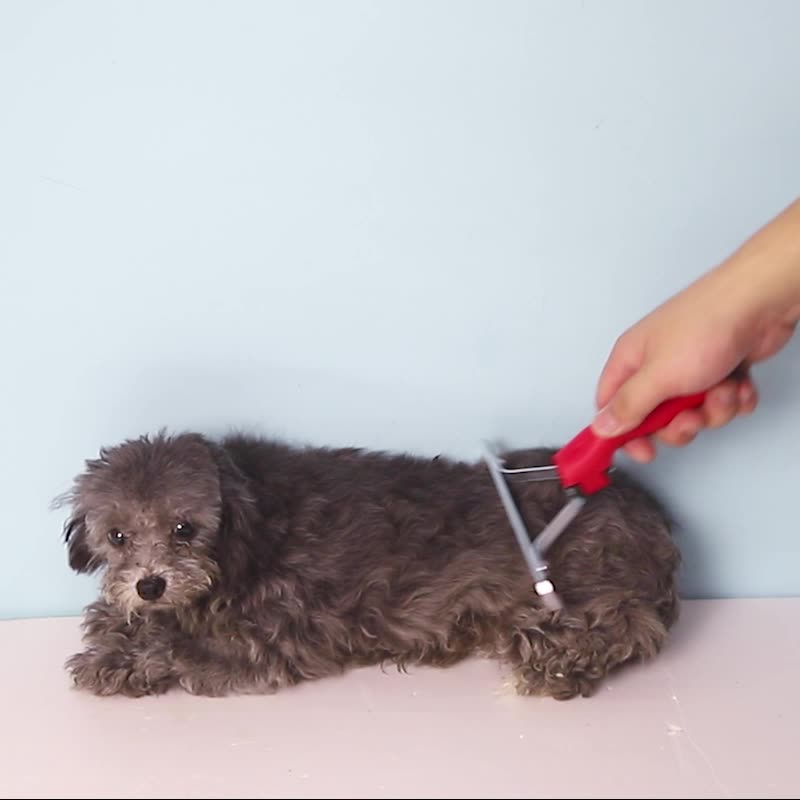 Extra Large Pet Rake Grooming Comb For Deshedding And Detangling