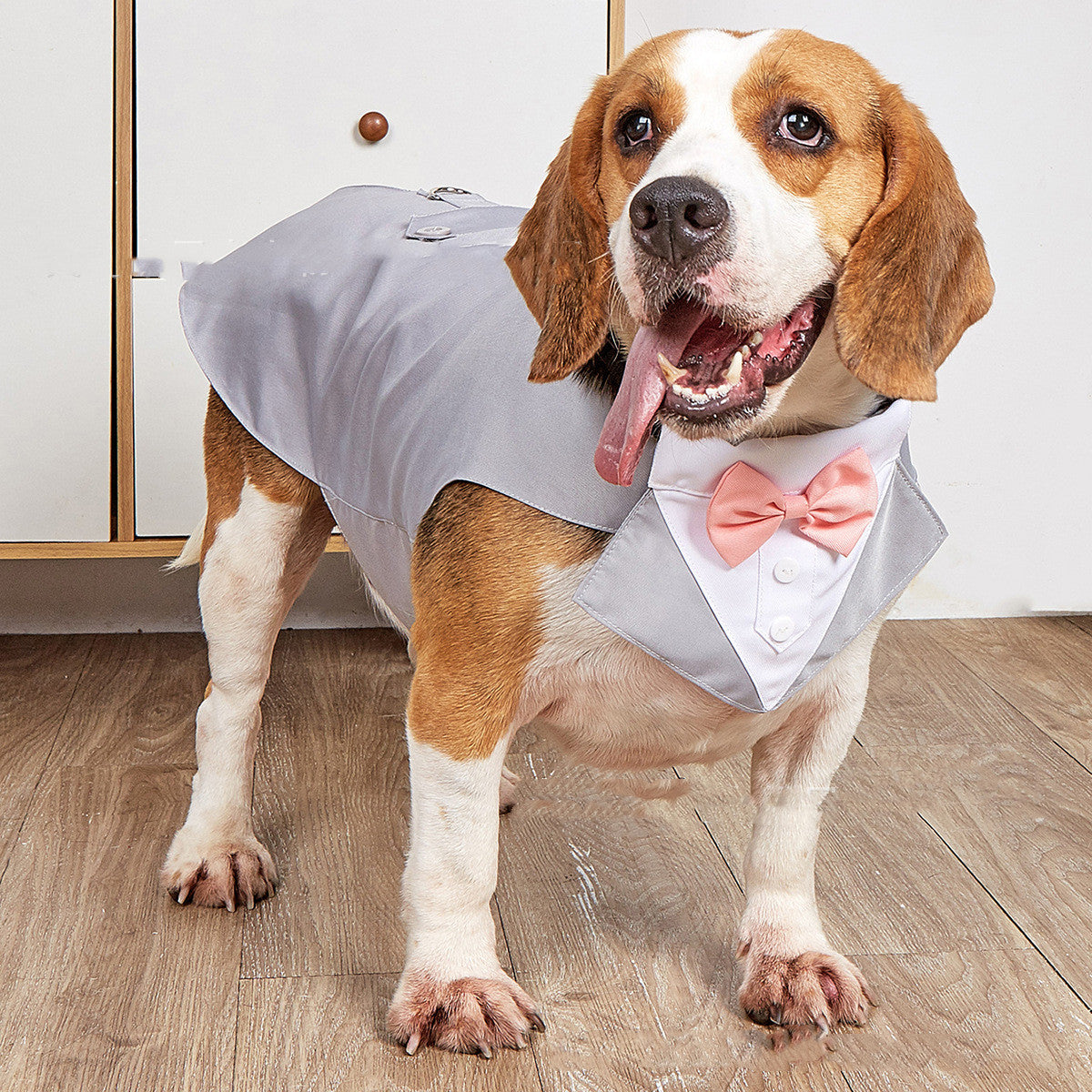 Wedding Style Pet Suit Jacket Elegant Formal Wear