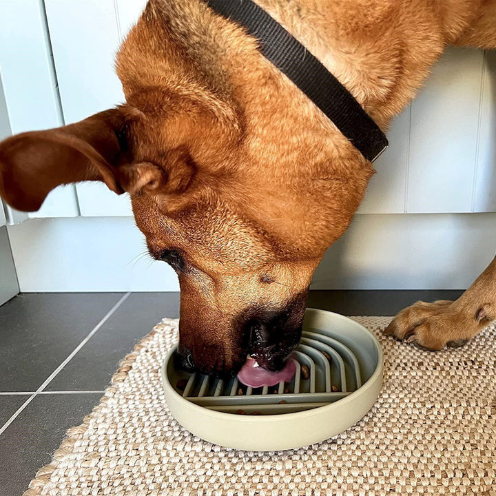 Simple Fashion Pet Slow Feeding Bowl For Healthy Eating Use