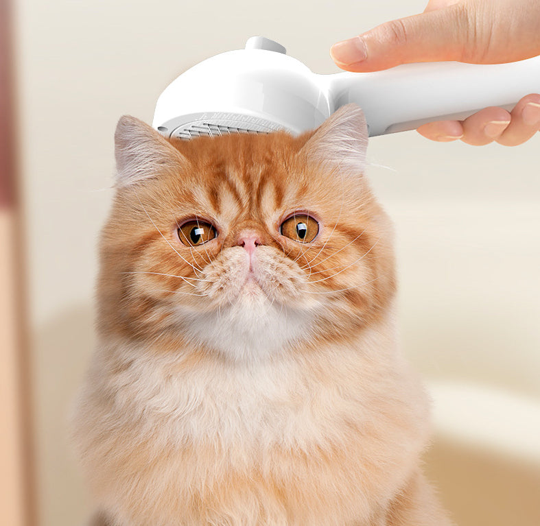 Self Cleaning Pet Grooming Comb With Mist Humidifier Tool