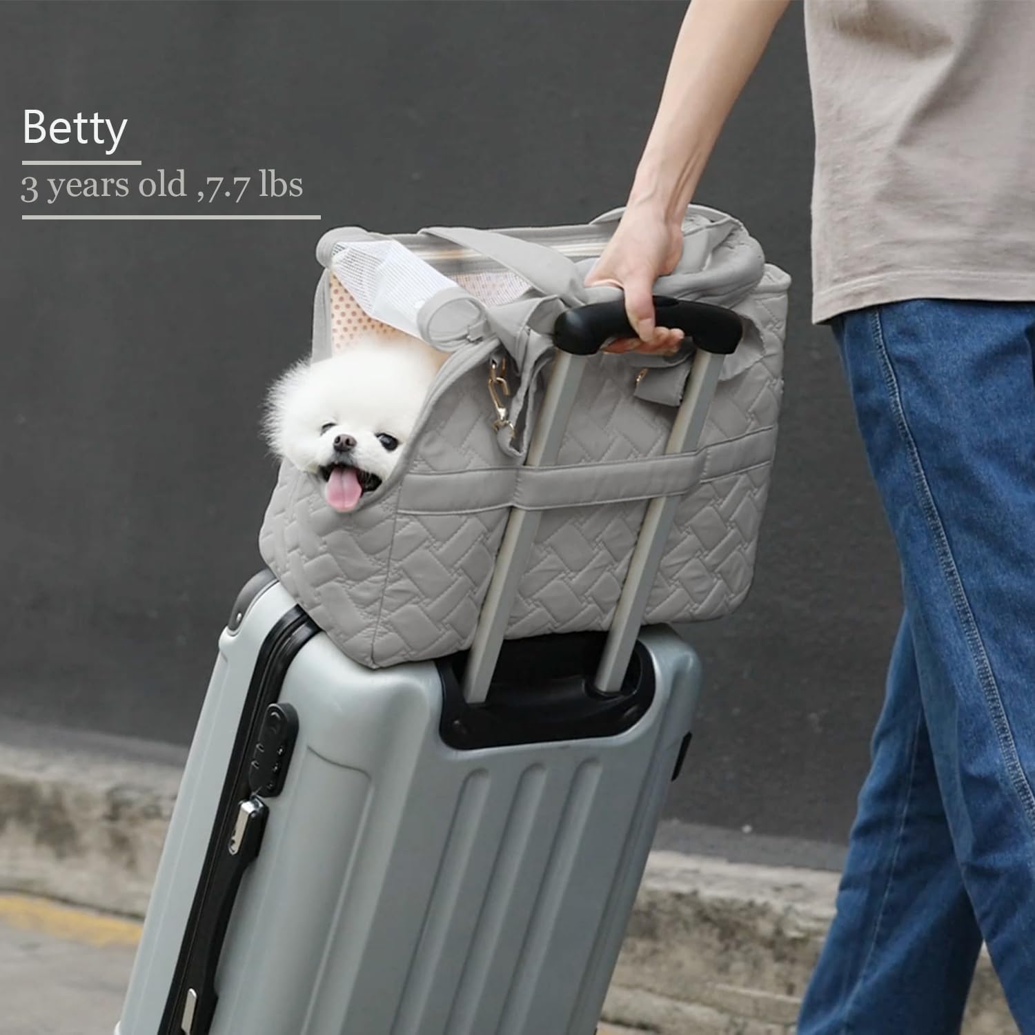 Portable Breathable Pet Carrier Handbag With Cushion And Pockets