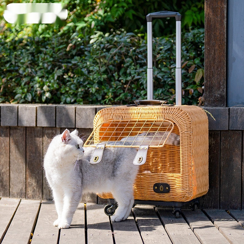 Portable Woven Rattan Carrier With Ventilation And Pull Handle For Outings