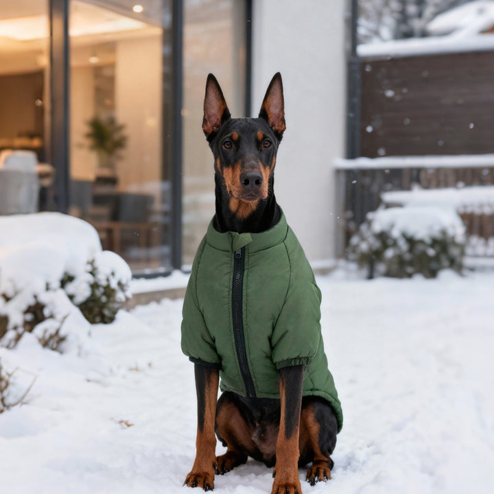 Cotton Two Leg Pet Jacket Comfortable Warm Wear