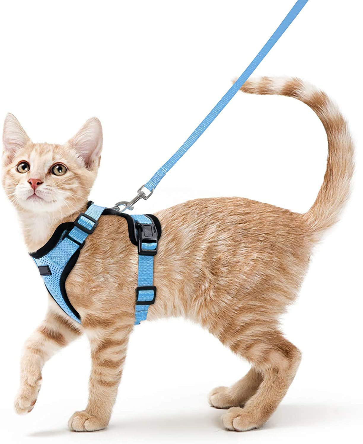 Vest Type Adjustable Anti Breakaway Leash