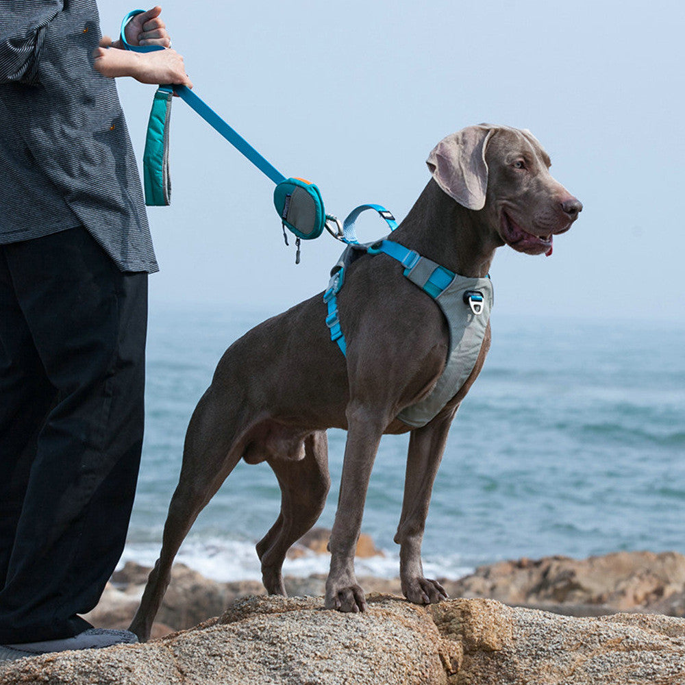 Explosion Proof Large Pet Chest Strap Leash Storage Bag Set