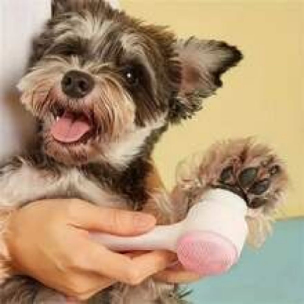 Easy Clean Nylon Pet Paw Grooming Brush For Dogs And Cats