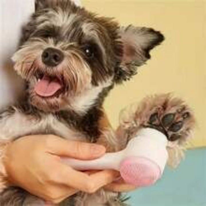 Easy Clean Nylon Pet Paw Grooming Brush For Dogs And Cats