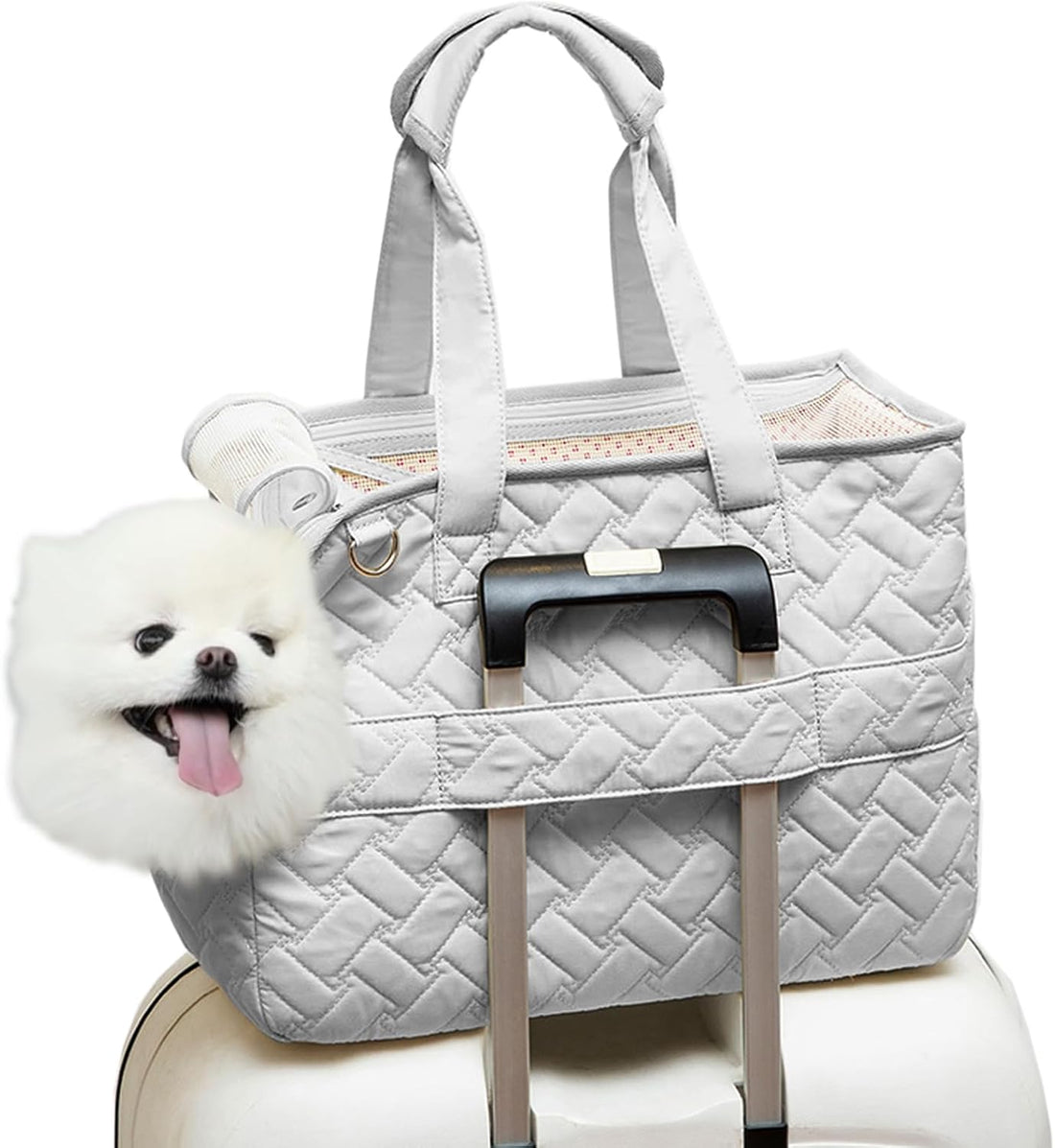 Portable Breathable Pet Carrier Handbag With Cushion And Pockets