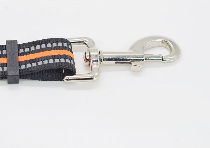 Leash Nylon Leash Assisted Retractable