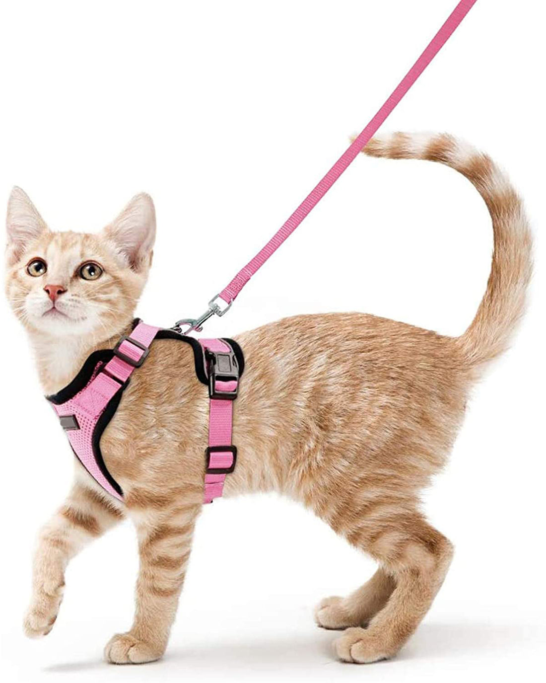 Vest Type Adjustable Anti Breakaway Leash