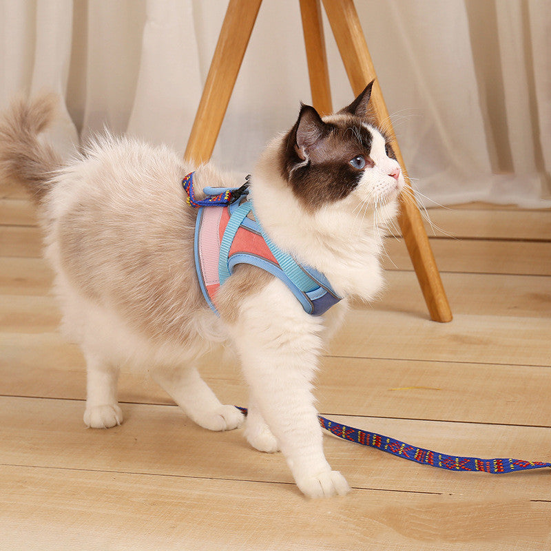 Anti Escape Reflective Pet Harness And Leash Set For Walking