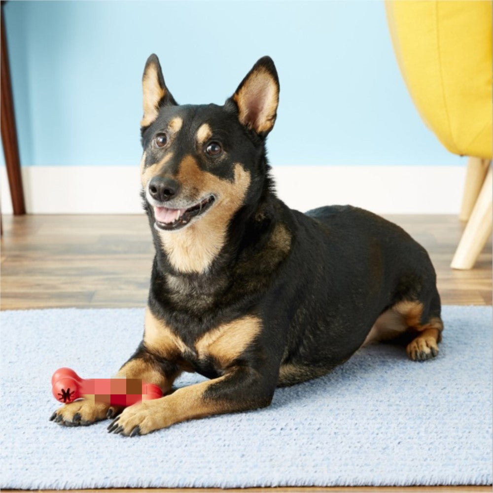 Bite Resistant Rubber Chewing Teeth Grinding Pet Toy