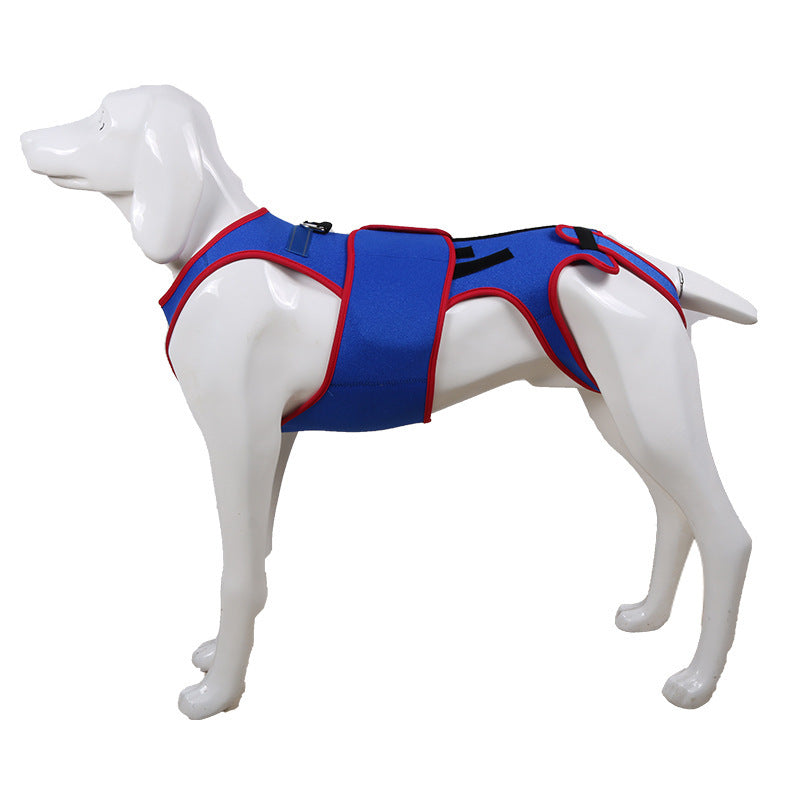 Pet Spine Support Jacket Prevents Hunching In Pets