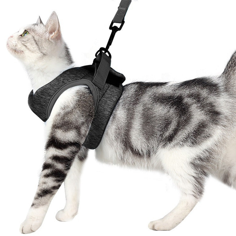 Leash Lace Rope Breathable Lightweight Chest Strap