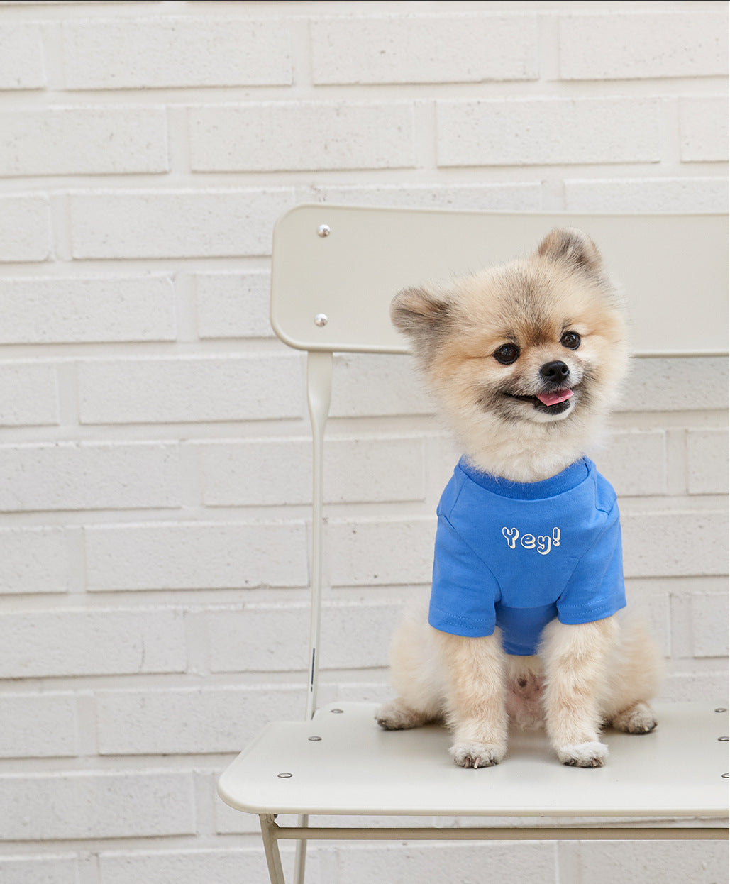 Korean Style Cotton Printed Pet T Shirt Short Sleeve